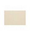 suedine beige