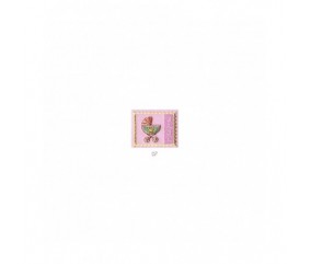 Ecussons Thermocollant Etiquette Baby 4,5 X 7 cm - Mediac poussette rose sperenza