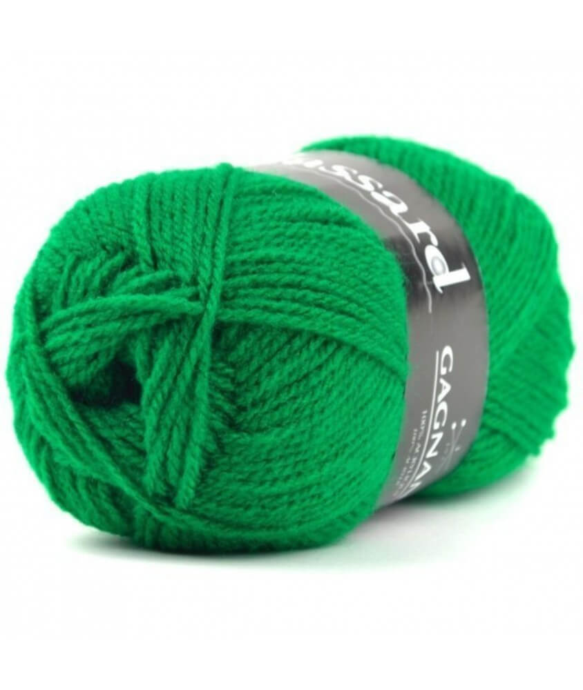 Pelote de laine à tricoter Gagnante - Plassard vert 928 sperenza