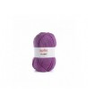 3991 Violet