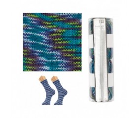 Kit à tricoter chaussettes KNIT-KIT SOCKS N°3 - Rico Design