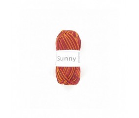 	Pelote de laine SUNNY MULTI- Cheval blanc