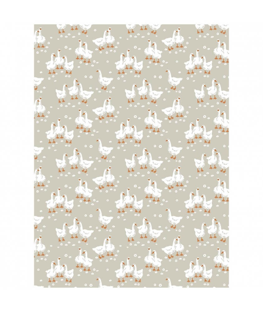 Tissu coton oies