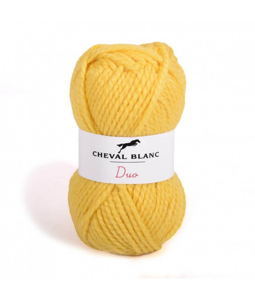 Pelote de laine duo twins- Cheval blanc -laine sport pas chère -sperenza -PeloteDUO Pelote de laine duo twins- Cheval blanc -laine sport pas chère -sperenza -PeloteDUO