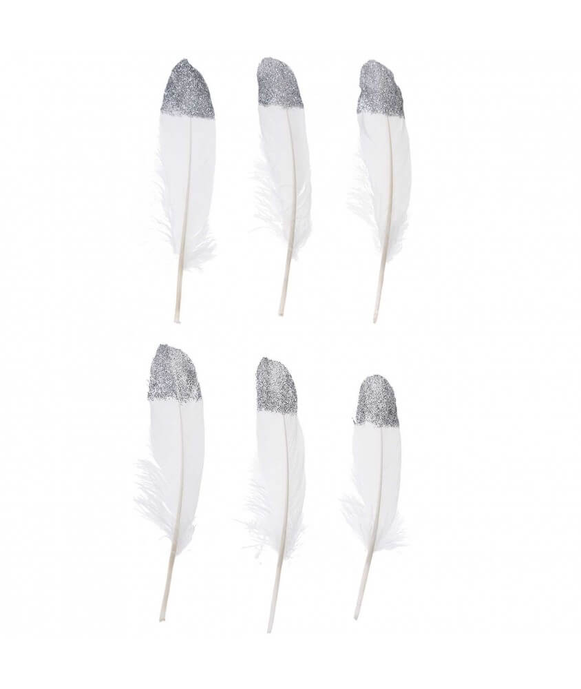 Grandes Plumes Fantaisies 18 cm X 6 pièces - Rico Design