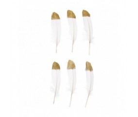 Grandes Plumes Fantaisies 18 cm X 6 pièces - Rico Design