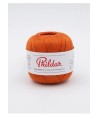 Carotte orange