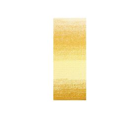 Pelote coton pour Amigurumi RICORUMI SPIN SPIN DK 50 gr - Rico Design