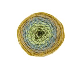 Pelote coton pour Amigurumi RICORUMI SPIN SPIN DK 50 gr - Rico Design