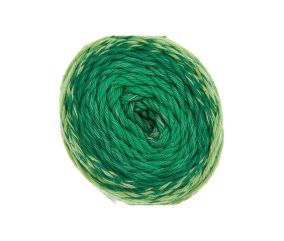 Pelote coton pour Amigurumi RICORUMI SPIN SPIN DK 50 gr - Rico Design