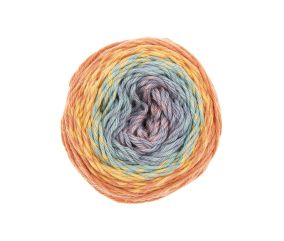 Pelote coton pour Amigurumi RICORUMI SPIN SPIN DK 50 gr - Rico Design