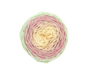 Pelote coton pour Amigurumi RICORUMI SPIN SPIN DK 50 gr - Rico Design