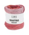 Multicolore 0002 (Fuchsia-Rouge-Rose)