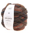 13 Brun/gris multicolore