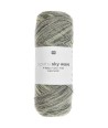 06 Gris