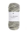 06 Gris