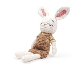 Kit mon Ami Gurumi Lapin - Graine Creative