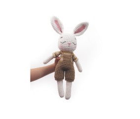 Kit mon Ami Gurumi Lapin - Graine Creative