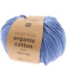 31 Bleu Violette