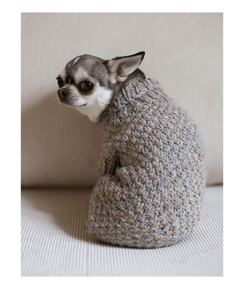 E-MODELE CHIEN - MANTEAU POUR CHIEN - PLASSARD - SPERENZA