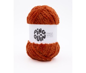 Fil à tricoter PINGO MIAOU - 100GR - Pingouin