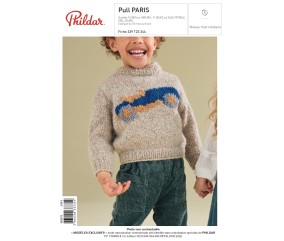 E-MODELE GARCON - PULL PARIS - PHILDAR