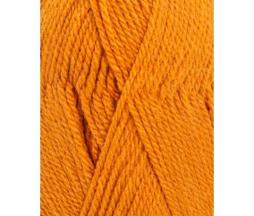 Pelote à Tricoter PINGO FIRST 6 - 100 g - Pingouin : Douceur, Polyvalence et Petit Prix
