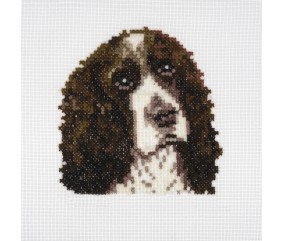 Mini Kit de Point de Croix Compté Springer Spaniel – 13 x 13 cm – Trimits