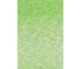 Pelote de lin et coton à tricoter Linello - 100GR - Lang Yarns