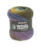 Pelote de laine MOVE 6 fils – 100 gr - Wool Addict - Spécial chaussettes - Ultra-résistante & respirante