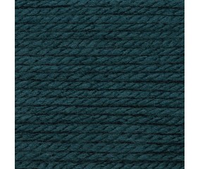 Pelote de laine à tricoter BASIC ACRYLIC CHUNKY - 100GR - Rico Design