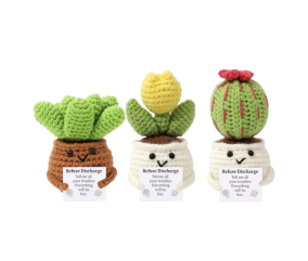 KIT DIY – Les Cactus Positifs by Oké!
