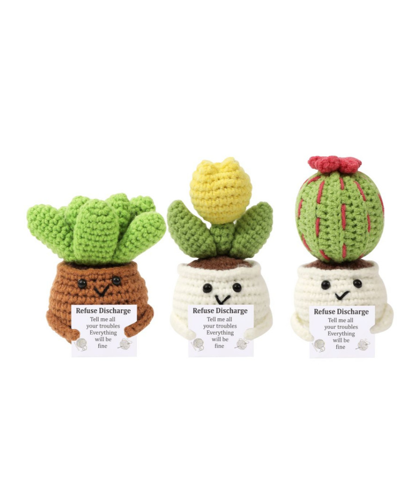 KIT DIY – Les Cactus Positifs by Oké!