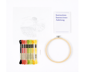 Kit de Broderie - Tulipes Romantiques - DMC