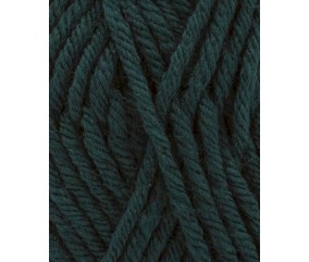 Pelote à Tricoter Partner 6  de Phildar : Découvrez la Douceur Incomparable