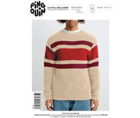 E-MODELE HOMME - PULL WILLIAMS - PINGOUIN