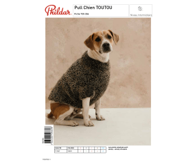 E-modèle Pull Chien TOUTOU Phildar