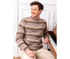 Pull homme rayé Bastien - Bergère de France