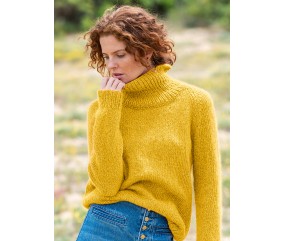 Pull jersey raglan col roulé Iselda femme - Patron tricot Bergère de France