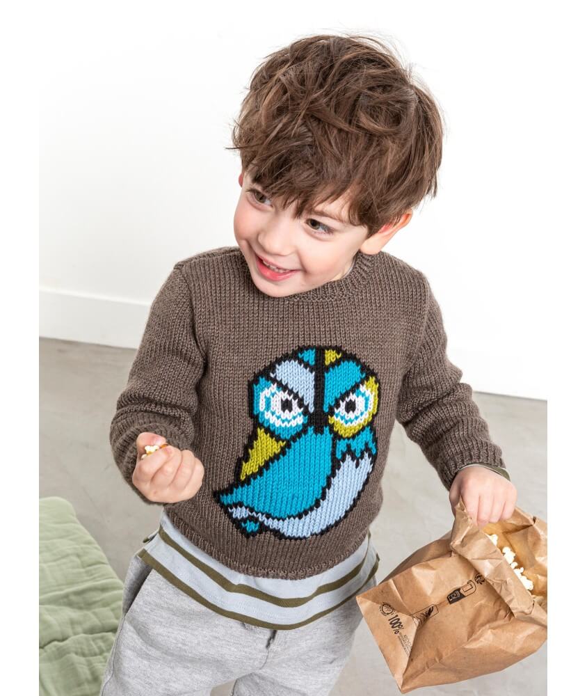 Pull jacquard oiseau Ignace enfant - Patron tricot Bergère de France
