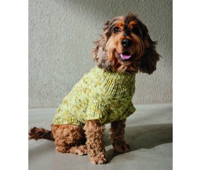 E-MODELE - PULL POUR CHIEN BINDHI - PINGOUIN