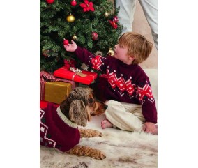 Catalogue Phildar Noël au Tricot et Crochet - modèle 9