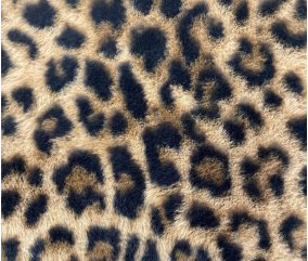 Tissu molletonné imprimé léopard caramel et noir - vue du tissu
