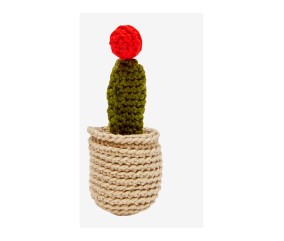 Patron crochet Moon Cactus DMC - modèle à télécharger