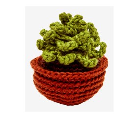 Patron crochet Succulente DMC - modèle à télécharger