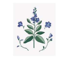 Grille point de croix Fleurs sauvages bleues DMC