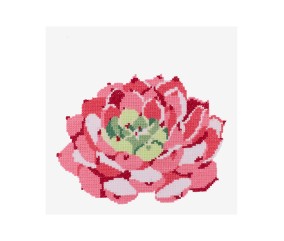 Grille point de croix Rose Echeveria DMC - modèle à télécharger