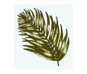 Grille point de croix Palme...