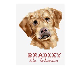 Grille point de croix Bradley le labrador DMC - modèle à télécharger