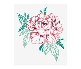 Patron de broderie Pivoine...